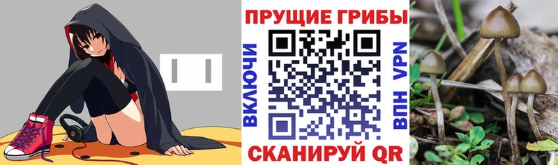 Галлюциногенные грибы мухоморы Реутов