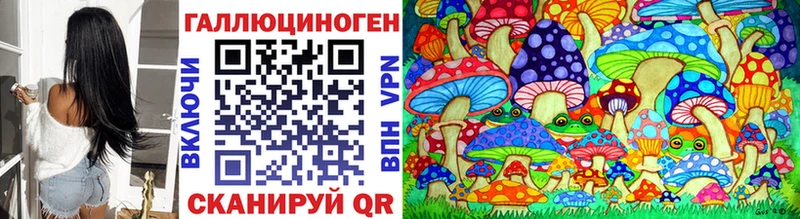 купить наркоту  Реутов  Псилоцибиновые грибы Psilocybine cubensis 